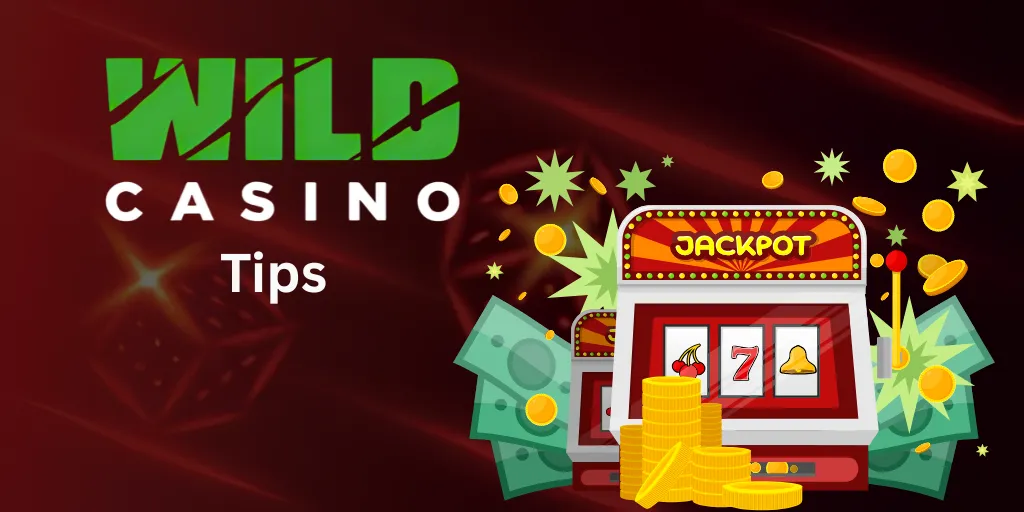 Tips to  Wild Casino No Deposit Bonus
